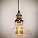 Lucia Lighting Pendant Ceiling Light Mid-Century Vintage Industrial Bronze Pendant Design with Clear Glass Shade; Masterpiece Lighting Fixture