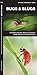 Bugs & Slugs: A Folding Pocket Guide to Familiar North American Invertebrates (A Pocket Naturalist Guide)