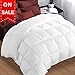 Comforter Soft Goose Down Alternative Duvet Insert Warm Winter 2100 Series Quilt with Corner Tab for All Season, Prima Microfiber Filled (White, Queen-1)
