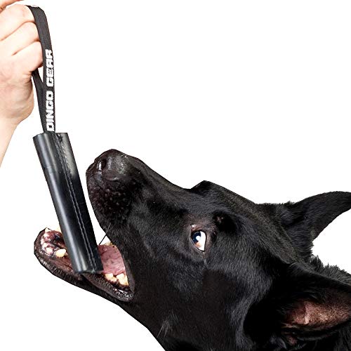 DINGO GEAR Dog Bite Tug Toy Hand Sewn Black Grain Leather Strong Polypropylene Handle for Training K9 IGP Agility Play - 15 x 4.5 cm, Black Espresso (S00232)