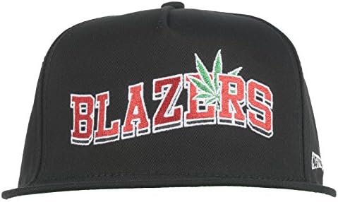 Mighty Healthy Blazers Mens Snapback Hat in Black