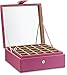 Glenor Co Earring Organizer - Classic 50 Section Jewelry Box/Case/Holder for Earrings, Rings, Necklaces, Jewelry, Cufflinks or Collections -2 Layer Small Compartments with Large Mirror - Pink