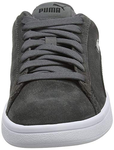 puma smash herren