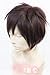 Aicos Attack on Titan Eren Jaeger Short Dark Brown Anime Cosplay Wig by 2013 wig