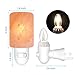 Arvidsson Himalayan Salt Lamp, Salt Lamp Night Light with 4 Bulbs, Natural Crystal Salt Light with ETL Approved Wall Plug for Lighting & Air Purifying -2 Pack