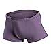 Perfect UNDIES Mens Underwear Seamless Sexy Transparent Ultra Comfort Soft Boxer Briefs (Purple, M)