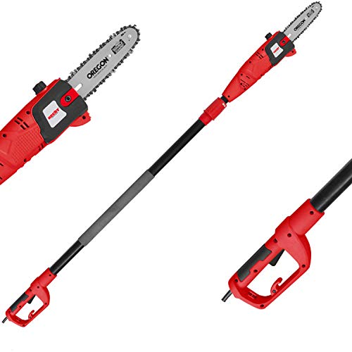 HECHT Elektro-Hochentaster 975 W Ast-Kettensäge Profi-Astsäge (750 Watt, Schwertlänge: 24 cm, Arbeitshöhe: bis 4,5 m)