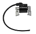 Ignition Coil Module For Kawasaki 21121-2008 John Deere AM101065 180 185 GT262 275 F510 525 710 325 Lawn Mower Replaces #: John Deere AM101065, Kawasaki 21121-2008 21121-2069
