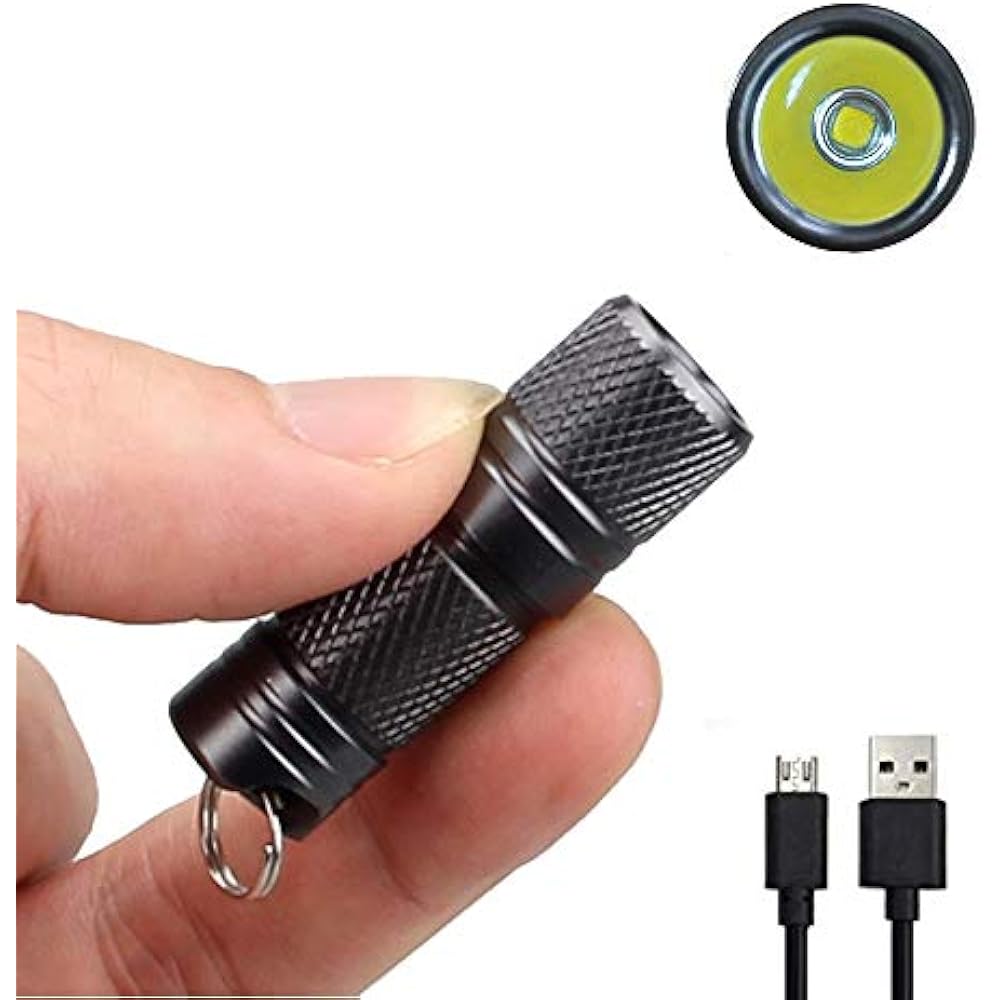 Mini LED Flashlight Rechargeable 200 Lumen Keychain Waterproof Tiny
