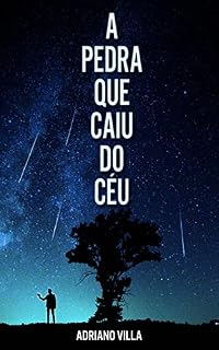 Livro A Pedra que Caiu do Céu