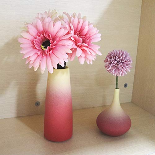 Small Ceramic Vase Set of 2 Flower Vases for Home Décor Living Room,Bookshelf Dcor（Red）
