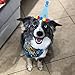 PUPTECK Dog Birthday Bandana Scarfs with Cute Doggie Birthday Party Hat