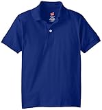 Hanes Big Boys' Short Sleeve Eco Smart Jersey Polo, Deep Royal, Medium