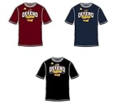 Cleveland Cavaliers Adidas 2017 Defend the Land NBA Team Color Playoff Tee