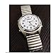 Charles Raymond Atomic Talking Watch - Unisex watch w/Alarm Speaks Time, Day, & Date - Great for The Blind, Elderly or Visually Impaired - 8421 (Silver)