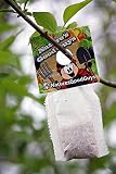 Amblyseius Swirskii (25,000 in Hanging Sachets)