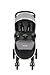 RECARO Performance Denali Stroller, Granite