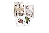 A Box of Beetles: 100 Beautiful Postcards by Patrice Bouchard (2015-04-13) by 
