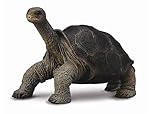 CollectA Wildlife Pinta Island Galapagos Tortoise (Lonesome George) Toy Figure - Authentic Hand Painted Model