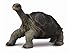 CollectA Pinta Island Tortoise Figure