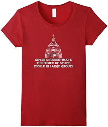Women's Never Underestimate the Power of Stupid People T-Shirt Small Cranberry