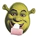 Hallmark Shrek Forever After Blowouts - 8 ct