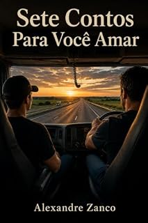 Livro Sete Contos Para Você Amar