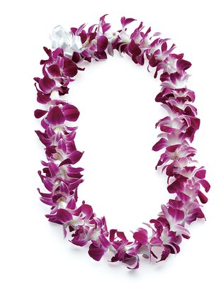 Cindy's leis Pikky Orchid Lei
