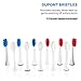 Sterline Sonic Electric Rechargeable Toothbrush with UV Sanitizer and 12 Replacement Heads, 4 Brushing Modes, Elite Toothbrush with Smart Clean Technology, White