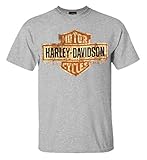 Harley-Davidson Men's Tee, Distressed Bar & Shield Short Sleeve 30296597 (L)