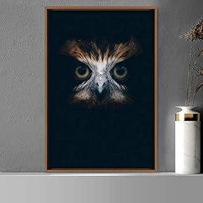signwin Framed Canvas Wall Art Owl Birds Dramatic...