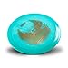 Innova Limited Edition 2019 Tour Series Nate Sexton Color Glow Champion Firebird Distance Driver Golf Disc [Colors May Vary]