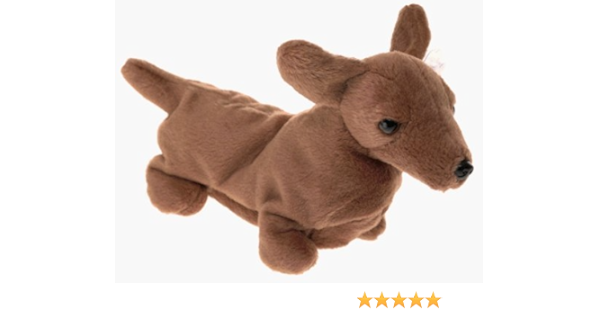 dachshund beanie boo