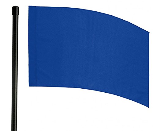 DSI 6 Foot Black Flag Pole and Color Guard Flag Bundle (Royal Blue)