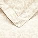 Amazon Brand – Pinzon Paris Printed Duvet Set - Full/Queen, Eggshell