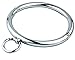 Stainless Steel Neck Collar With Ring
