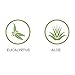 Body Wash, Eucalyptus and Aloe by H2O+, Cleanses and Refreshes, 12.2 Ounce