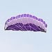 Besra Huge 102inch Dual Line Parachute Stunt Kite with Flying Tools 2.6m Power Parafoil Kites Outdoor Fun Sports for Beach & Park (102inch Purple)