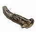 WhiteTail Naturals - Deer Antlers for Large Dogs - Long Lasting Antler Dog Chews - Crafted in USA, Naturally Shed Antler Dog Bones for Aggressive Chewers (Large (Pack of 1))