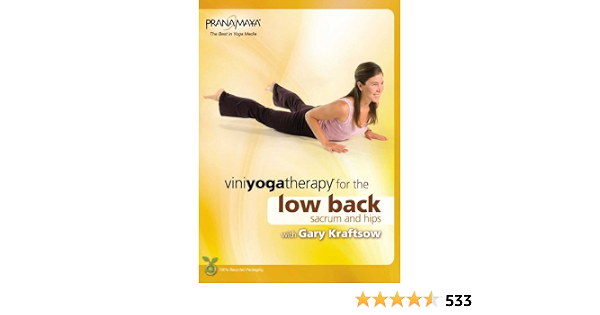 Viniyoga Yoga Thereapy For The Low Back Sacrum And Hips Import Amazon Ca Gary Kraftsow Dvd
