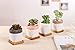 Potaroma Set of 3 Modern Planters (Snowflake_Pro)