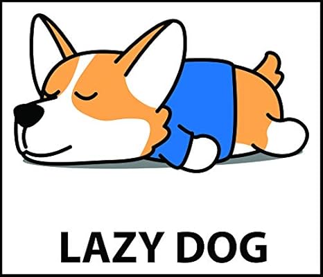 lazy corgi
