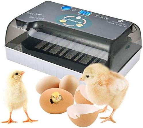 自動孵卵器 孵卵機 インキュベーター 鶏など家畜 鳥類専用 鳥類専用ふ卵器 自動転卵式 孵化器 大容量 Led液晶 自動温度制 湿度保持 低騒音 鶏卵 アヒル うずら 家庭用 ヒヨコ生まれ 子供教育用 日本语说明书付き アメリカ規格 日本语说明书 Rwenzorisustainable Org