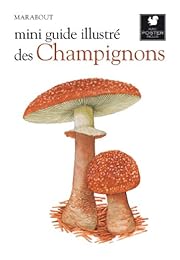 Champignons