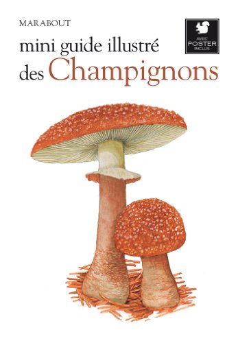 Champignons