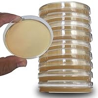 Potato Dextrose Agar Plates - Evviva Sciences - Sterile Prepoured Potato Dextrose Agar PDA Petri Dishes - Excellent Media for Growing Molds & Fungus - Great for Mushrooms & Science Fair Projects