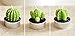 WISDOMTOY 6-Piece Mini Lovely Green Meat Plant Cactus Romantic Candle