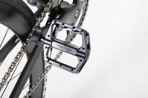 blizz singlespeed bike