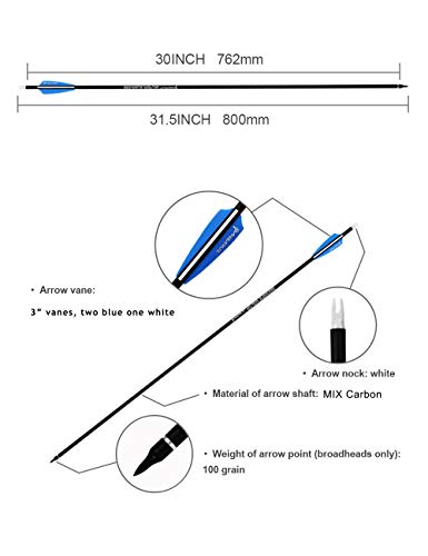 image for PANDARUS Archery 30Inch Carbon Practice Hunting Arrows with Removable 