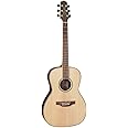 Takamine GY93-NAT New Yorker Acoustic Guitar, Natural
